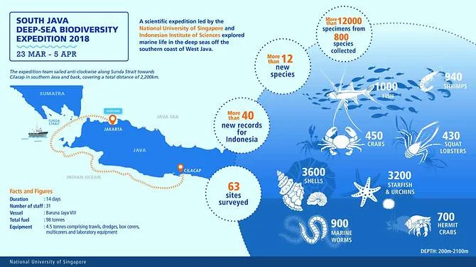 Keanekaragaman hayati bawah laut Selat Sunda, Indonesia.