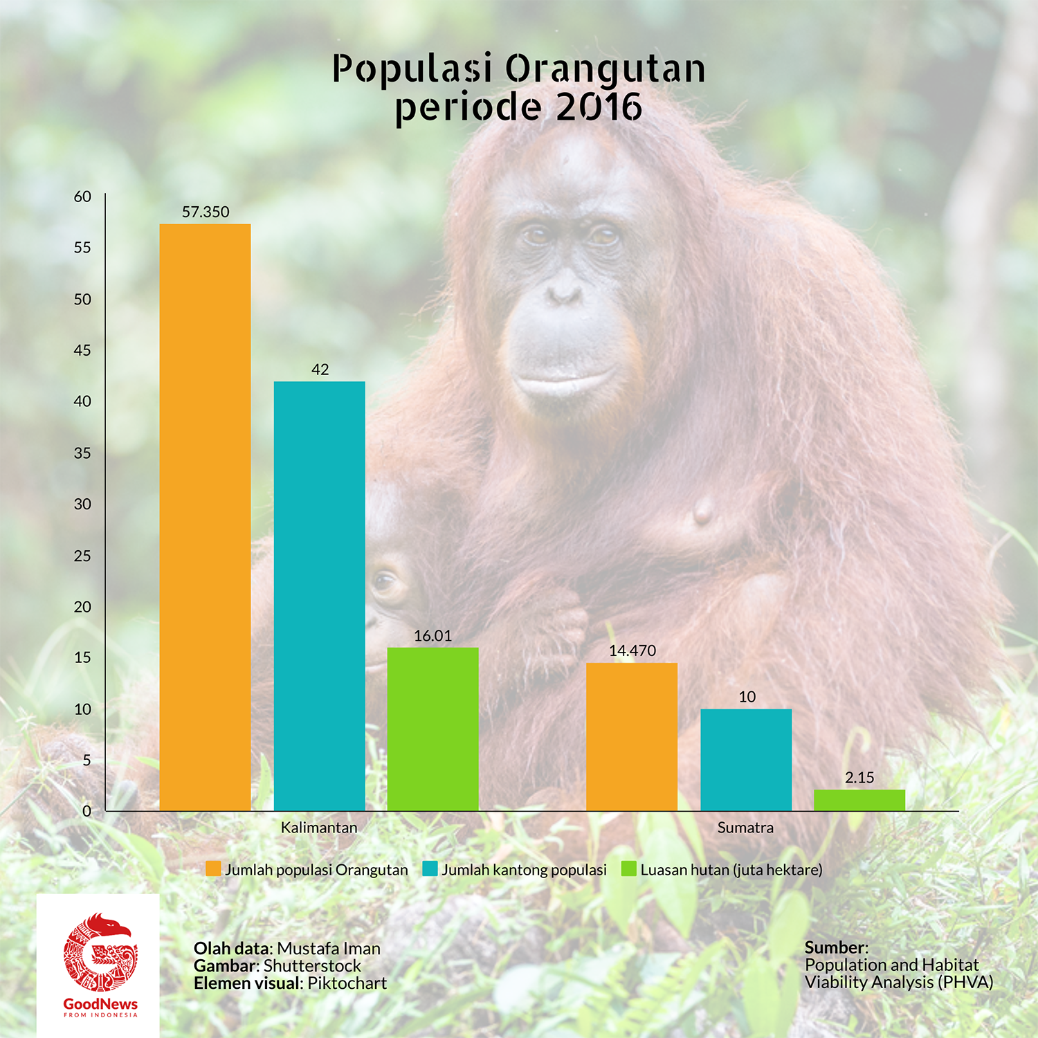 populasi orangutan 2016