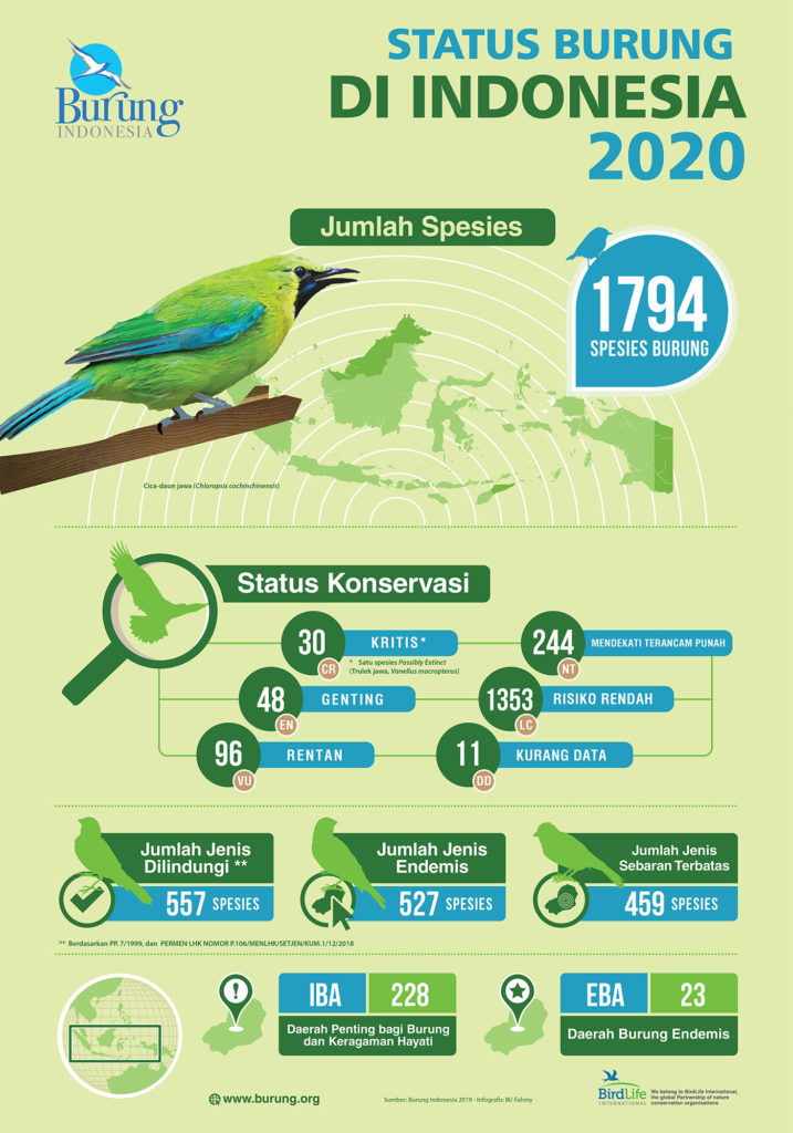 Jumlah spesies burung di Indonesia