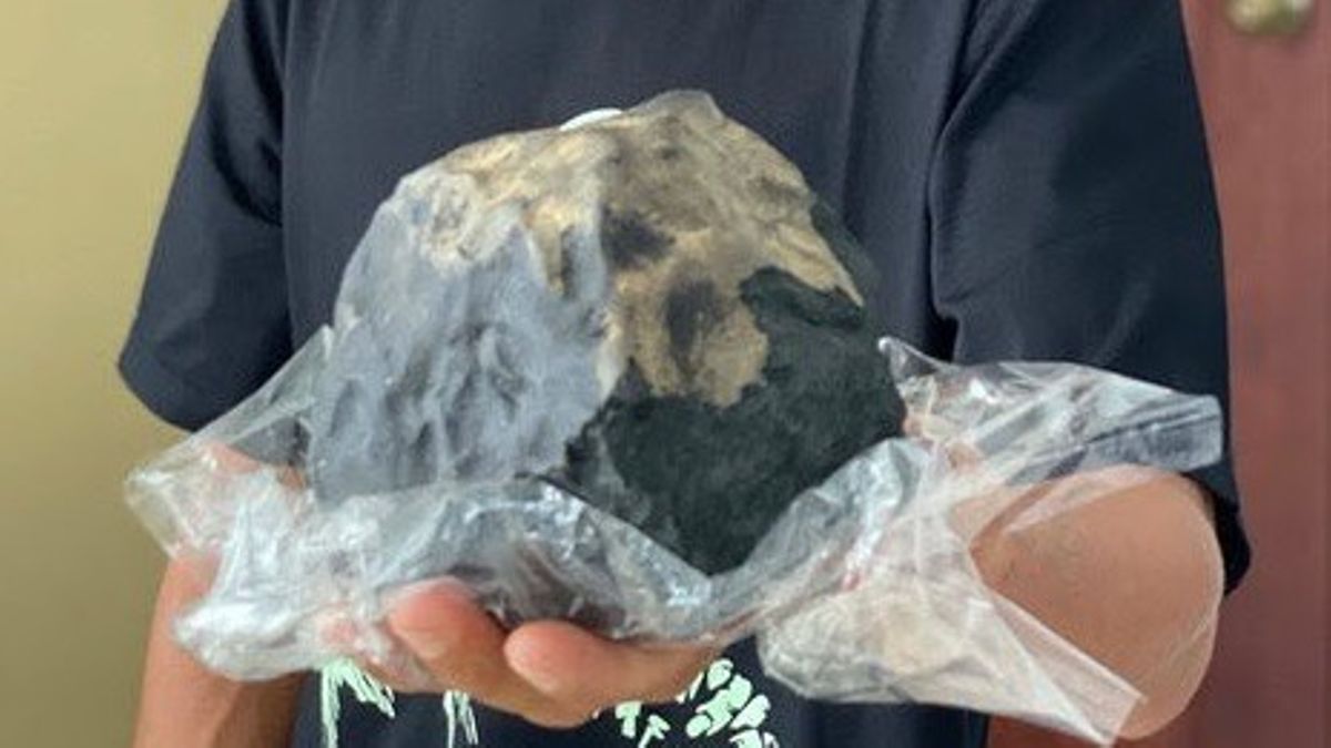 Sebongkah batu meteorit