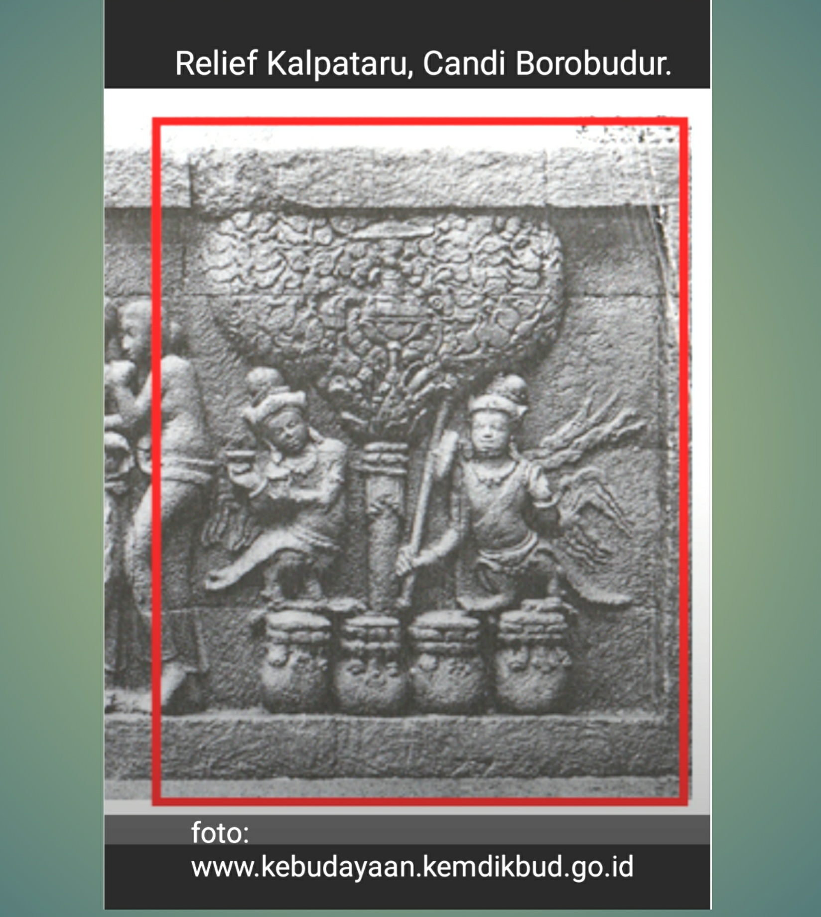 Relief Kalpataru di Candi Borobudur | Foto: Kebudayaan Kemdikbud