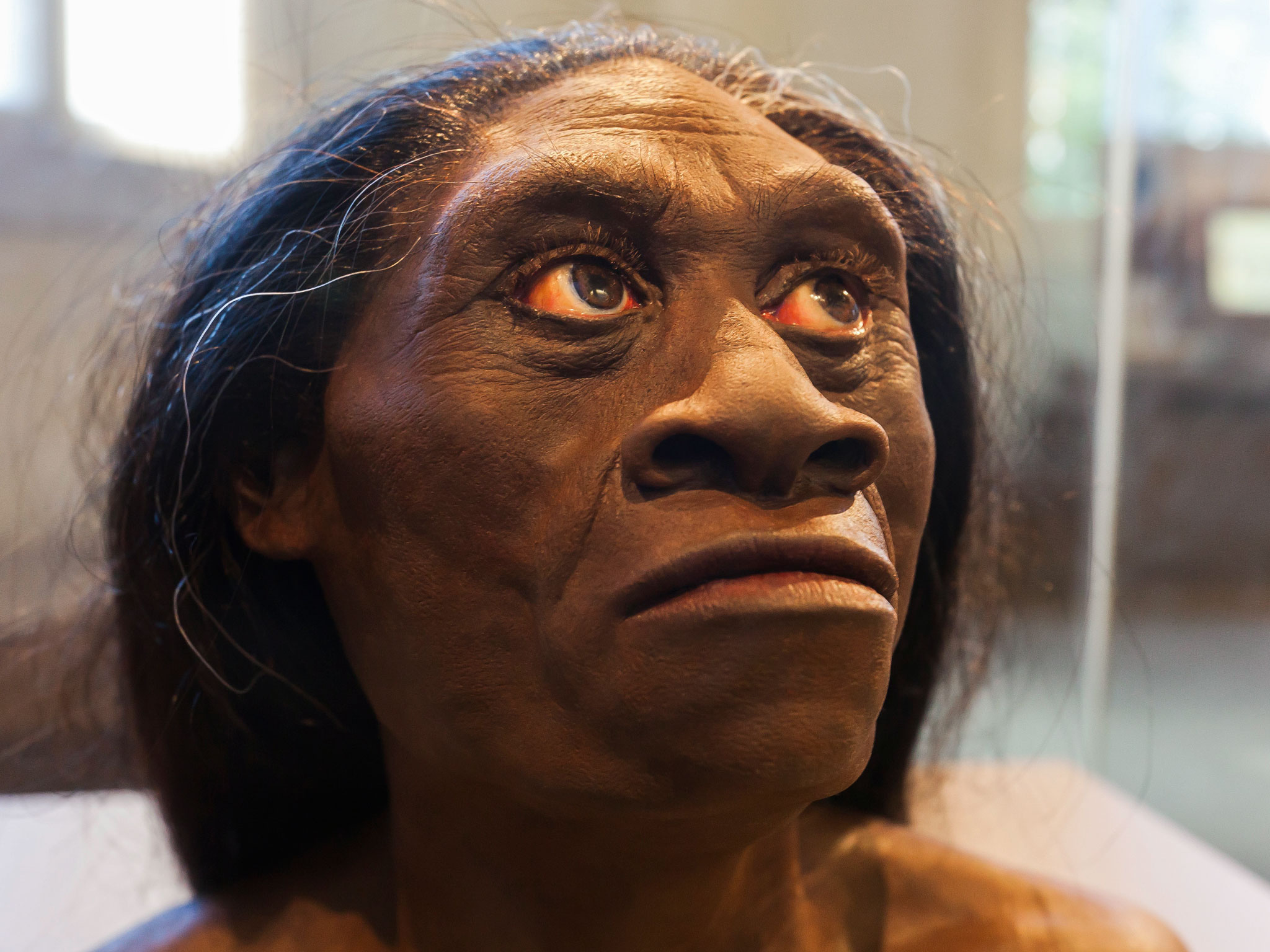 Ebu Gogo dan Homo Floresiensis