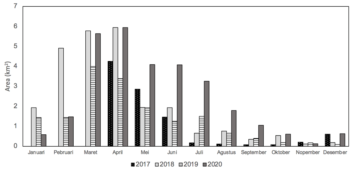 Area produksi rumput laut dari Mei hingga September 2020 secara signifikan lebih tinggi daripada tahun-tahun sebelumnya | The Conversation