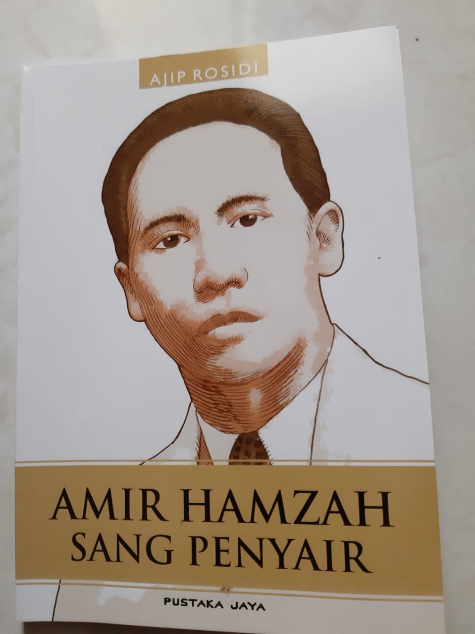 Buku Amir Hamzah | Foto: Dian Restu Agustina