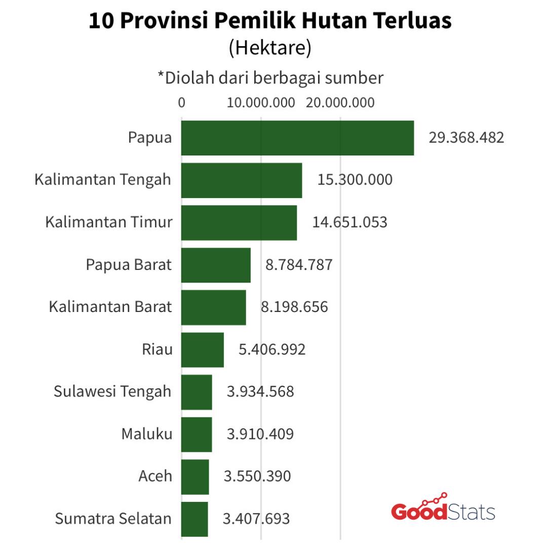 10 provinsi pemilik hutan terluas di Indonesia | GNFI