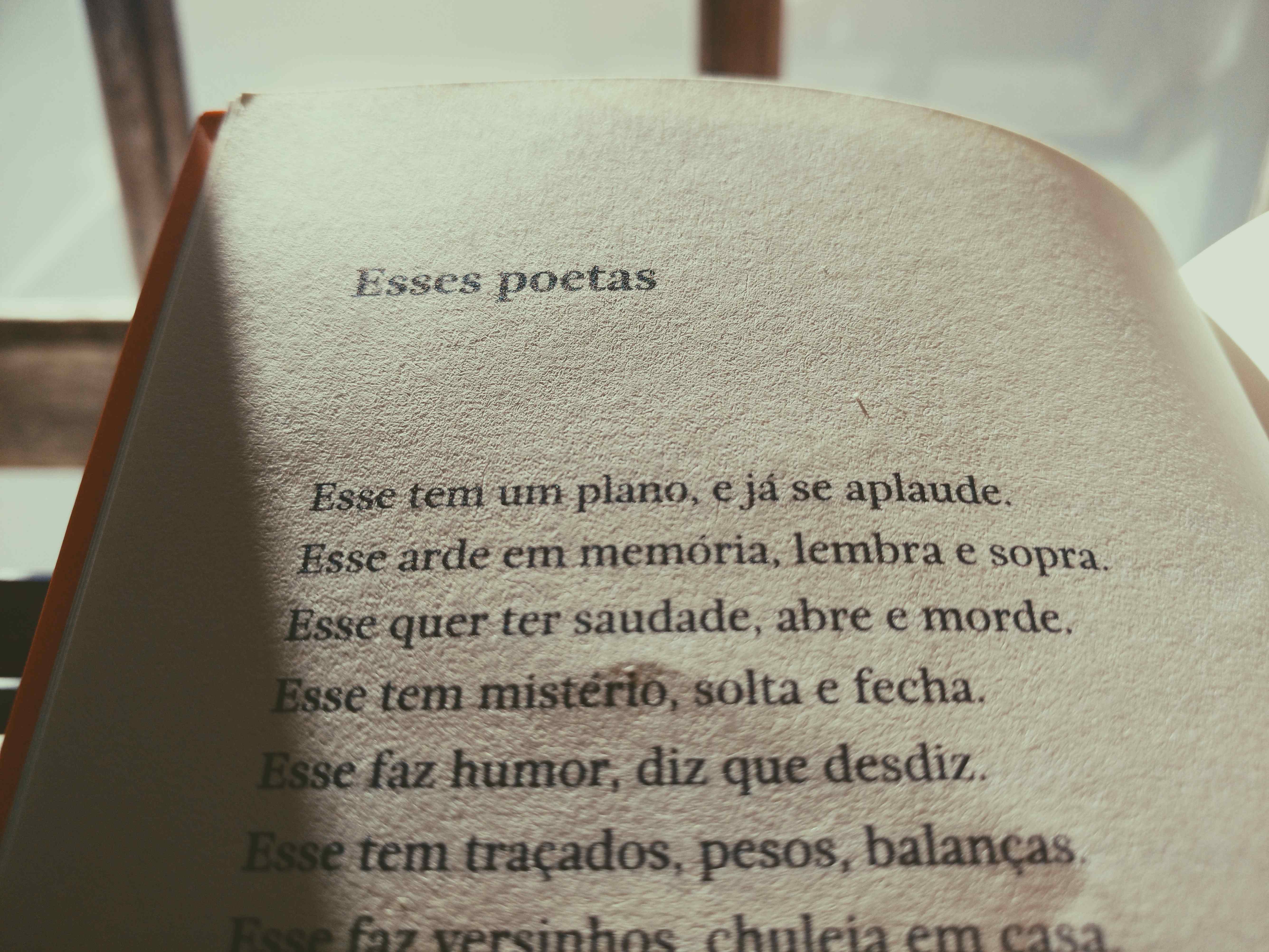 Ilustrasi bahasa Portugis | @souomau Unsplash