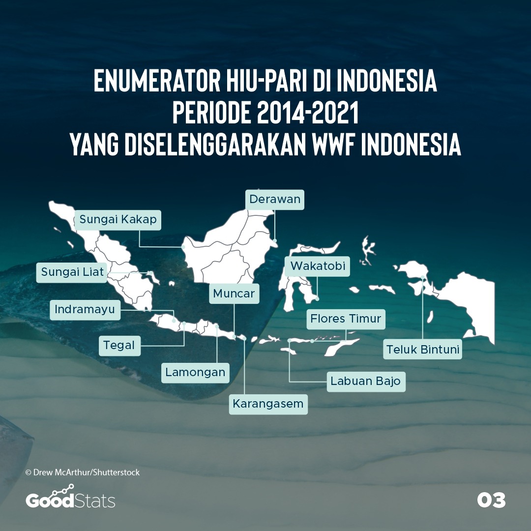 Enumerator hiu-pari di Indonesia periode 2014-21021 | GoodStats