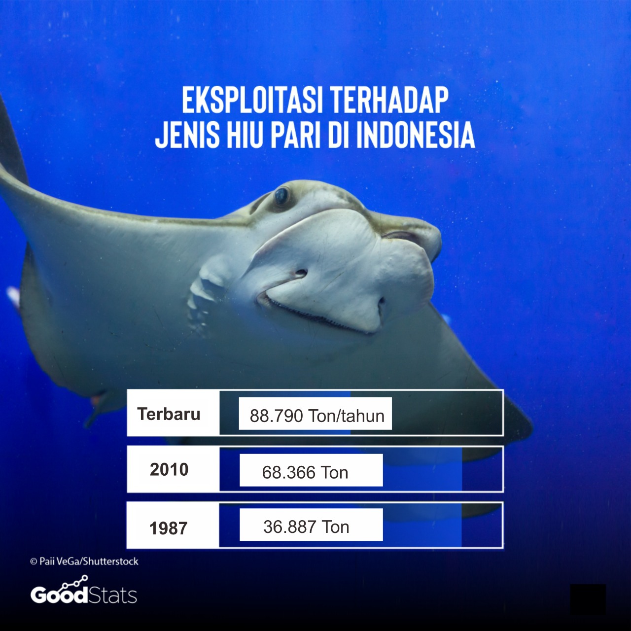 Data eksploitasi hiu-pari di Indonesia | GoodStats