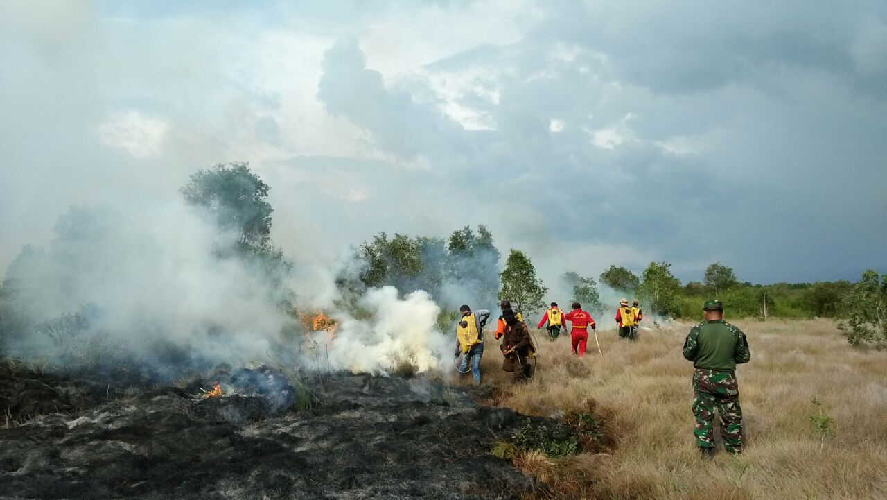 Kebakaran ladang dan hutan di Kalimantan