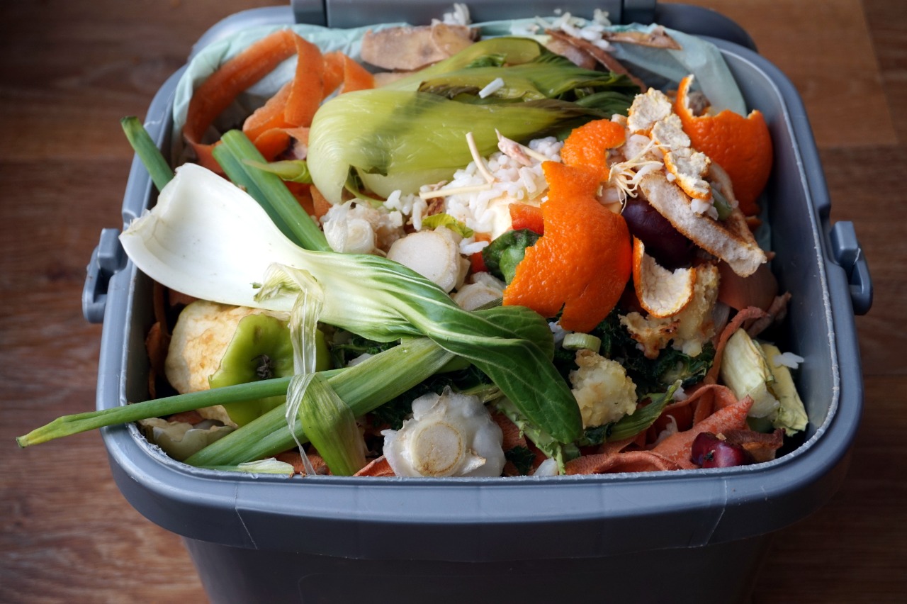 ilustrasi sampah sisa makanan | Marry T/Shutterstock