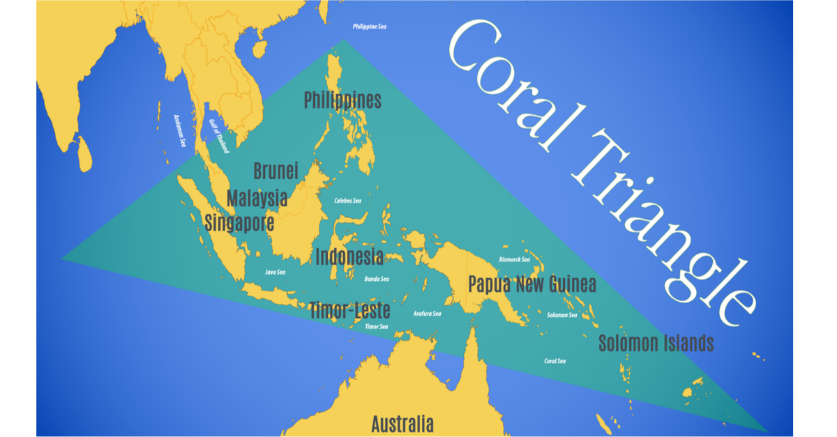 Филиппины индонезия малайзия. The Coral Triangle. Острова кораллового треугольника. Коралловый треугольник на карте. Коралловый треугольник.