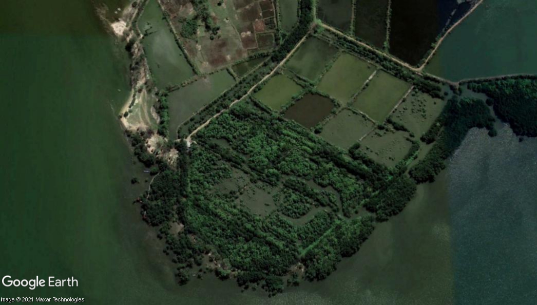 Kawasan mangrove di Kurri Caddi, Maros lewat Google Earth
