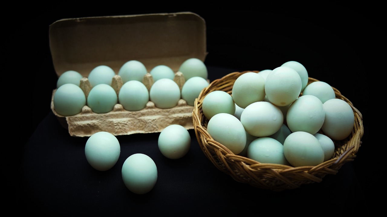 Salah satu olahan telur itik | Foto : ShutterStock/Reezie
