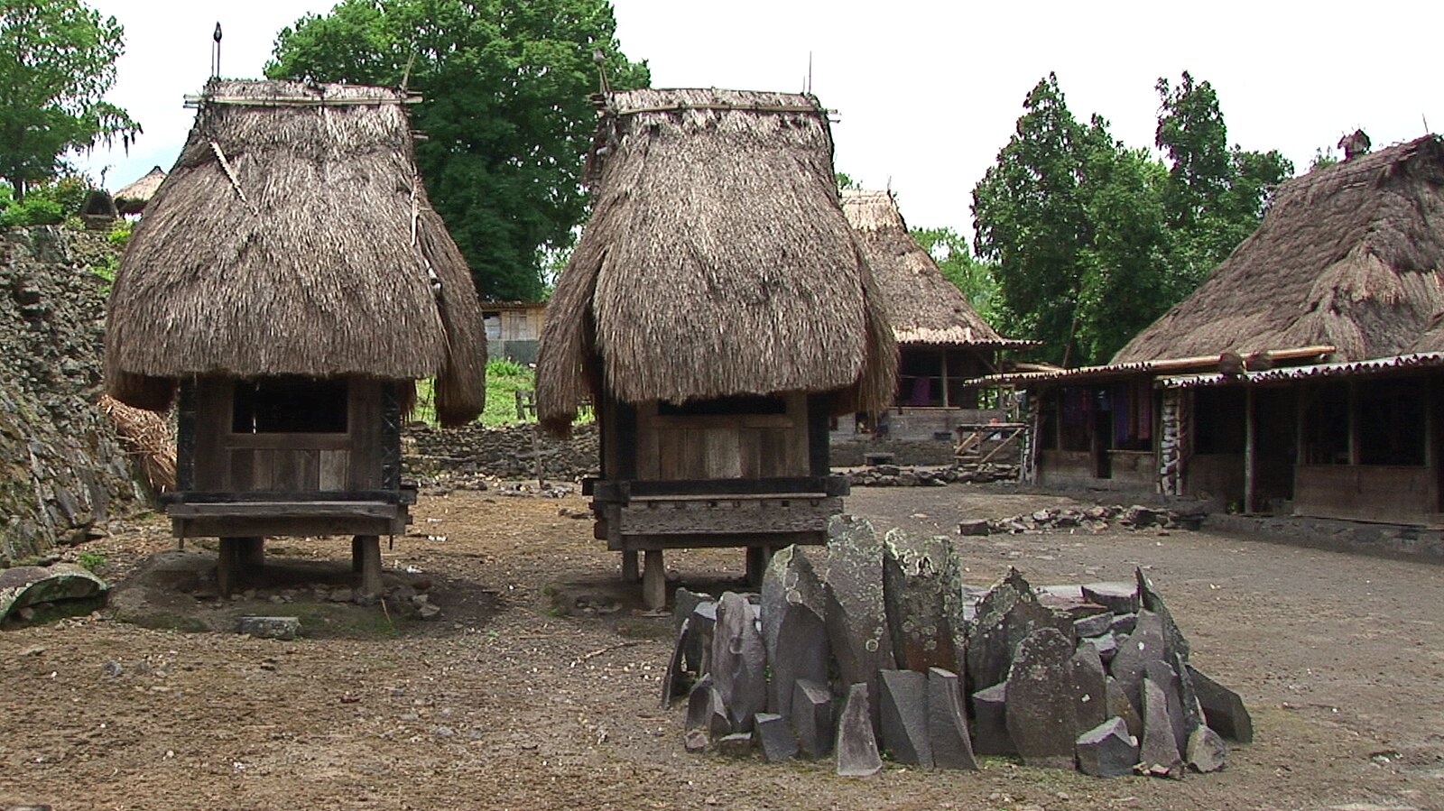Pemukiman suku Lio, pihak yang melaporkan kerap adanya penampakan manusia purba