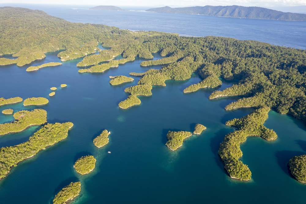 Pulau Gam | @Zaferkizilkaya Shutterstock