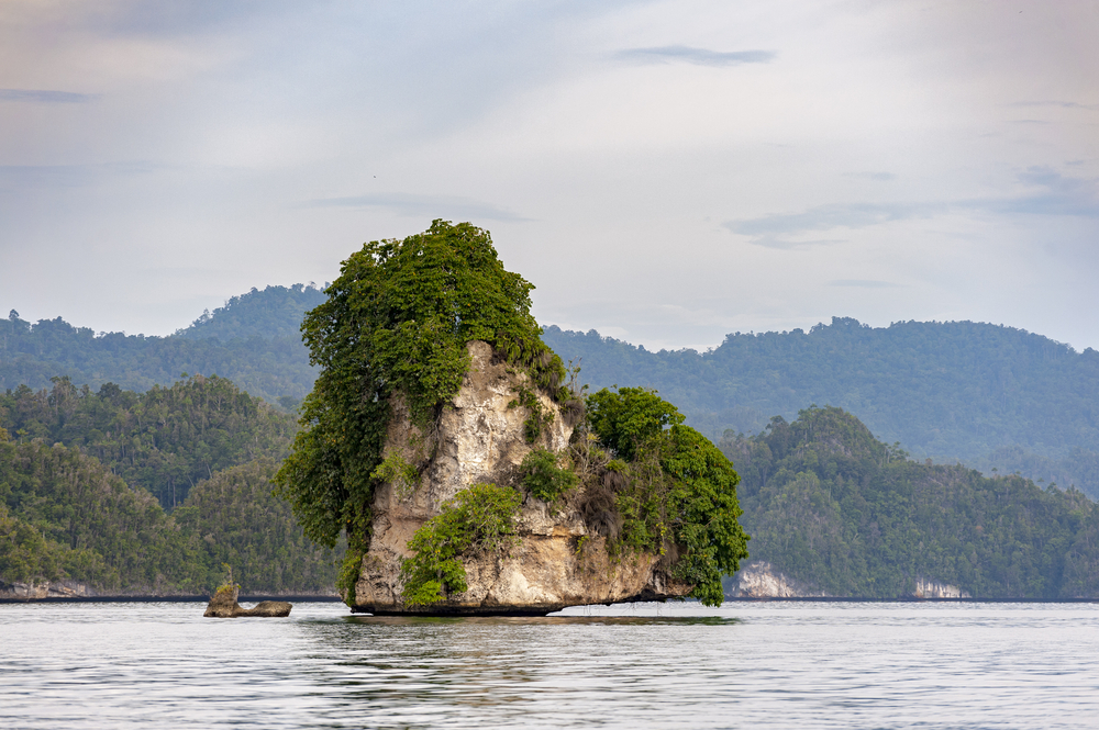 Ilustrasi Pulau Wajah | @Edmund Lowe Photography Shutterstock