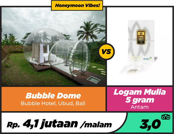Infografis Harga Bubble Dome, Ubud, Bali | Rutenesia