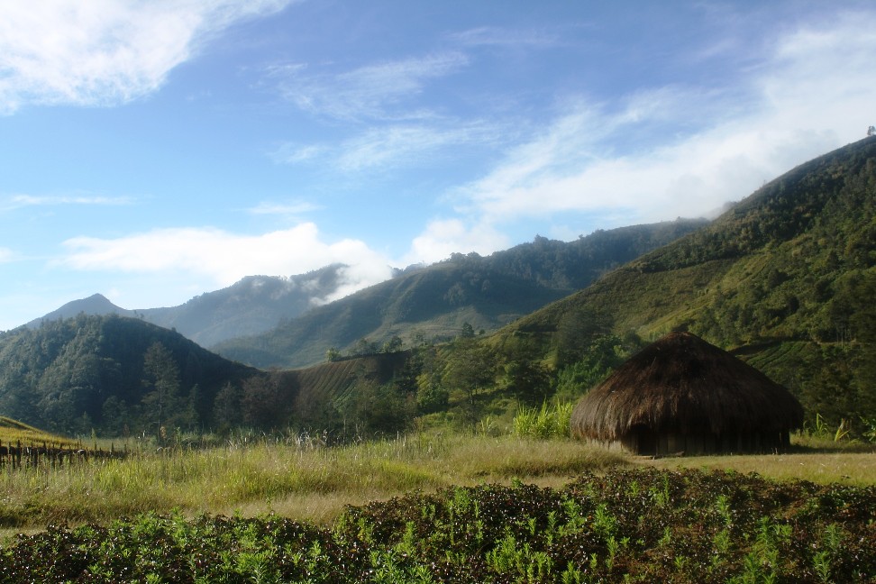 Rumah adat Honai di pedalaman Papua