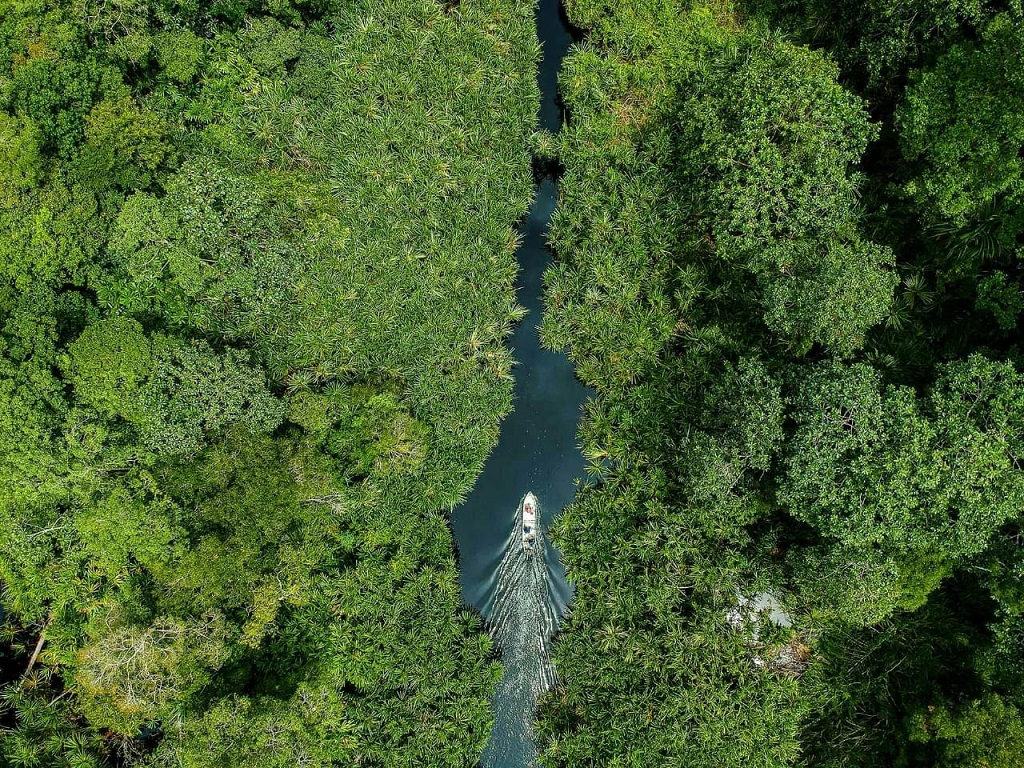 Aerial Restorasi Ekosistem Gambut di Riau | hgi.or.id