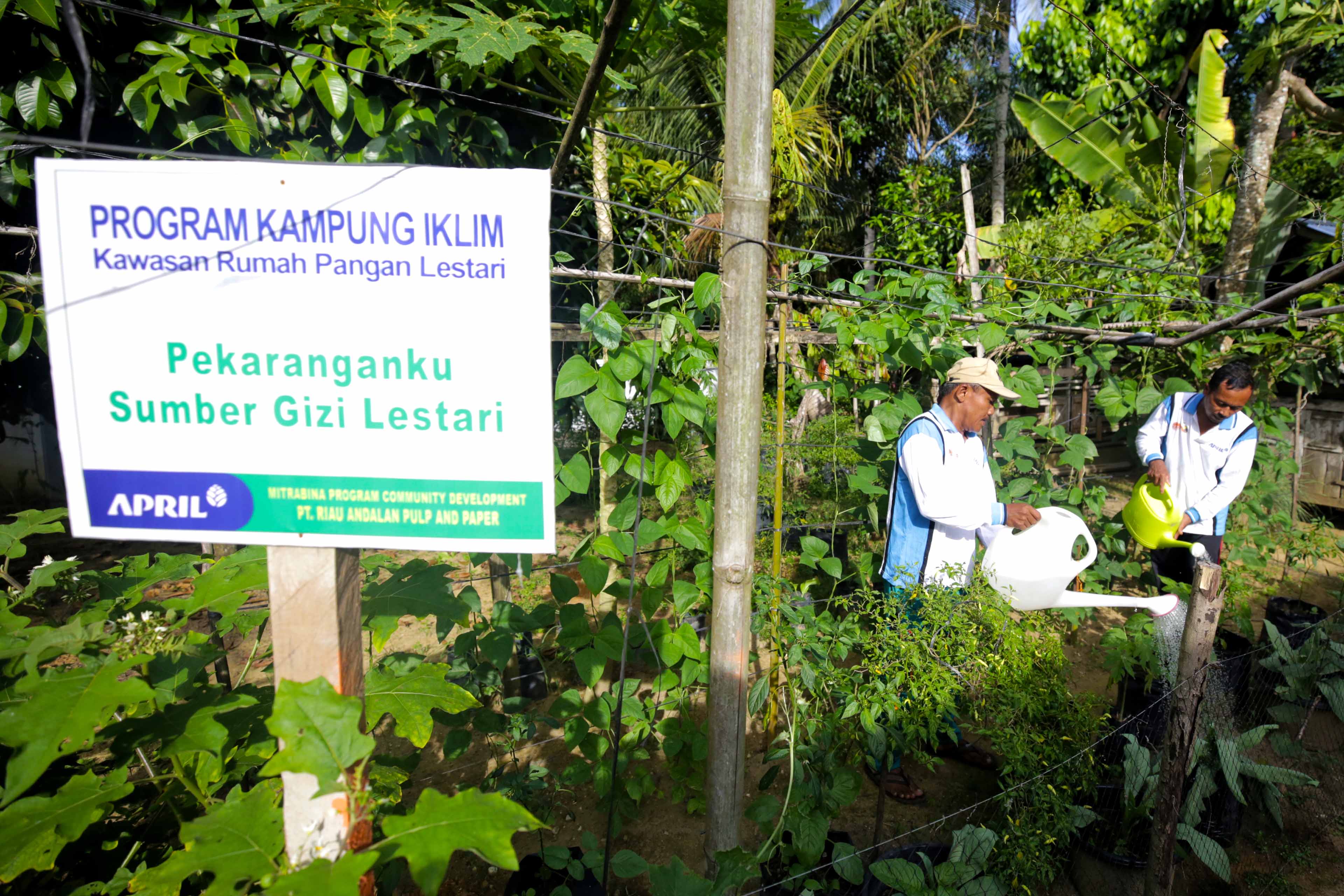 Program Kampung Iklim menjadi salah satu kebijakan Jokowi di bidang iklim dan lingkungan hidup