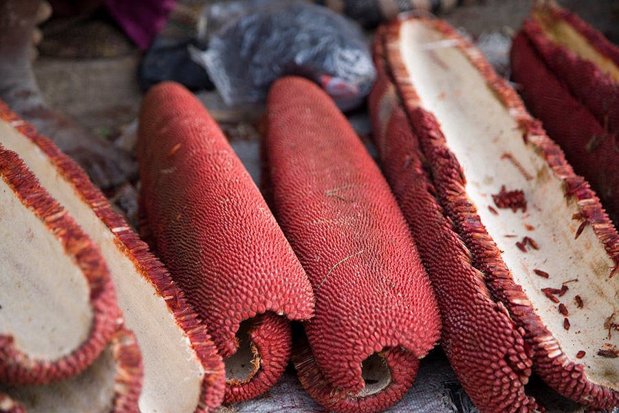  Buah merah papua yang kaya manfaat. Foto: Shutterstock 
