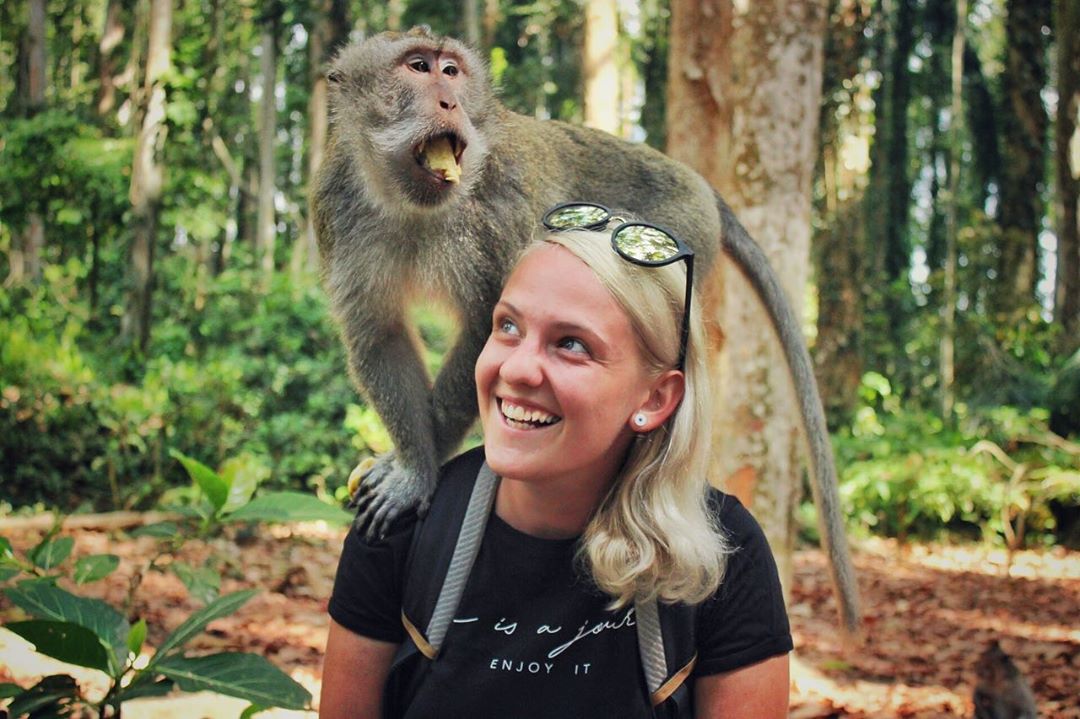 Berfoto dengan monyet, wisata alam hijau, dan pepohonan di Sangeh Monkey Forest Bali