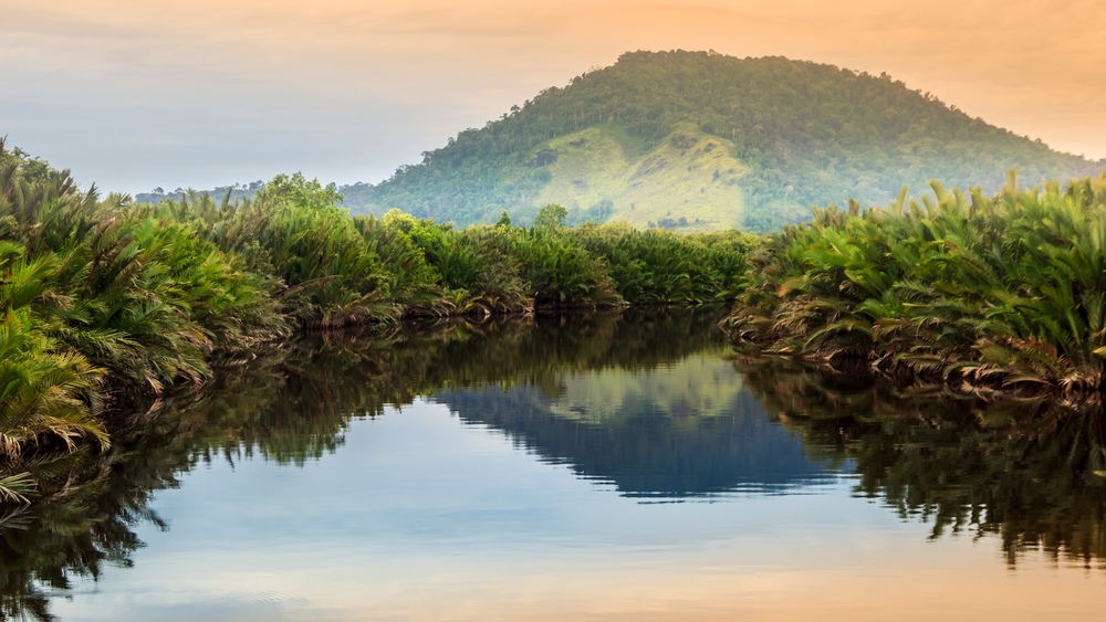 Sungai Sekonyer | Murrrrr-s/Shutterstock