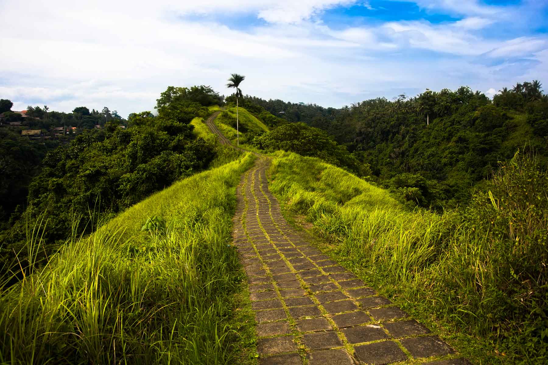 Bukit Campuhan Bali, wisata perbukitan hijau dan menyegarkan memiliki daya tarik untuk berjalan jalan dan digunakan untuk jogging dan trekking di Bali