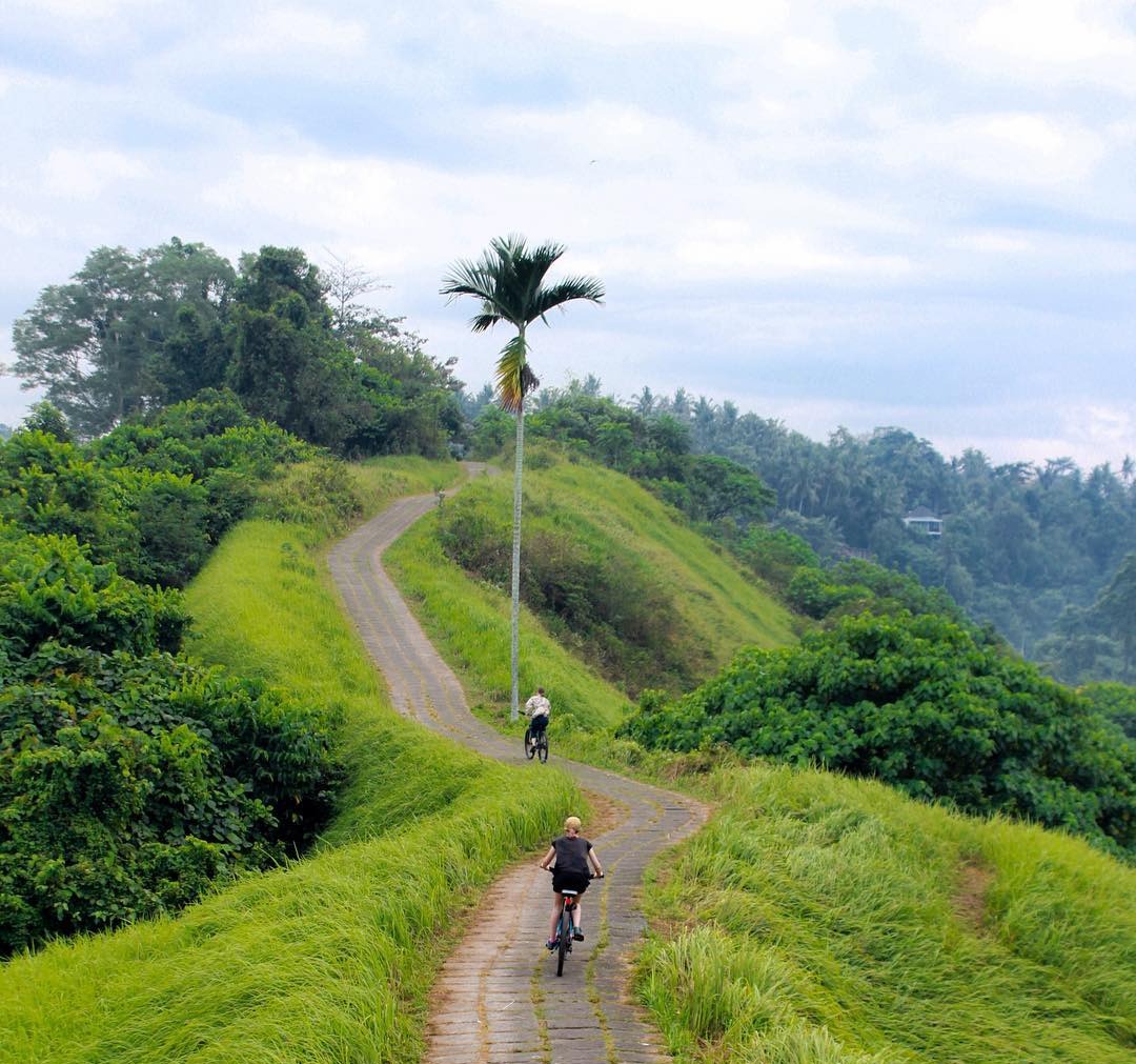 Bukit Campuhan Bali, wisata perbukitan hijau dan menyegarkan memiliki daya tarik untuk berjalan jalan dan digunakan untuk bersepeda di Bali