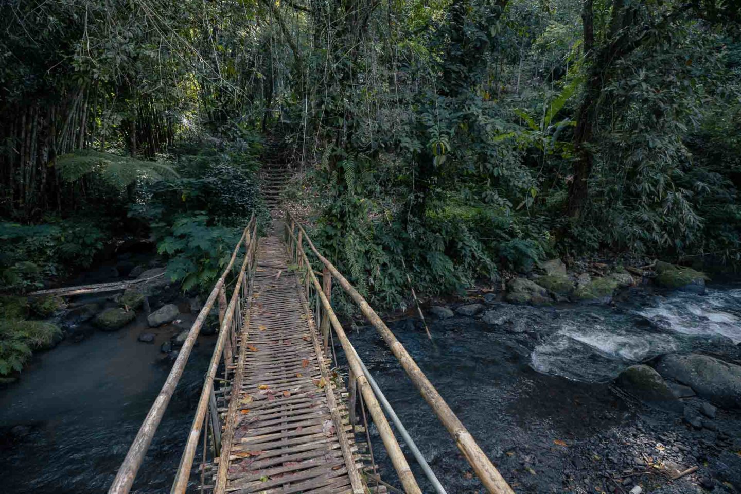 Jembatan Bambu menuju Air Terjun Leke Leke Bali yang sunyi dan indah di tengah hutan Tabanan