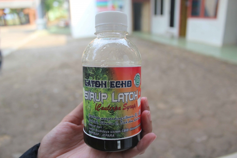 Sirup Latoh, olahan rumput laut asal Indonesia yang dapat dikategorikan sebagai superfood