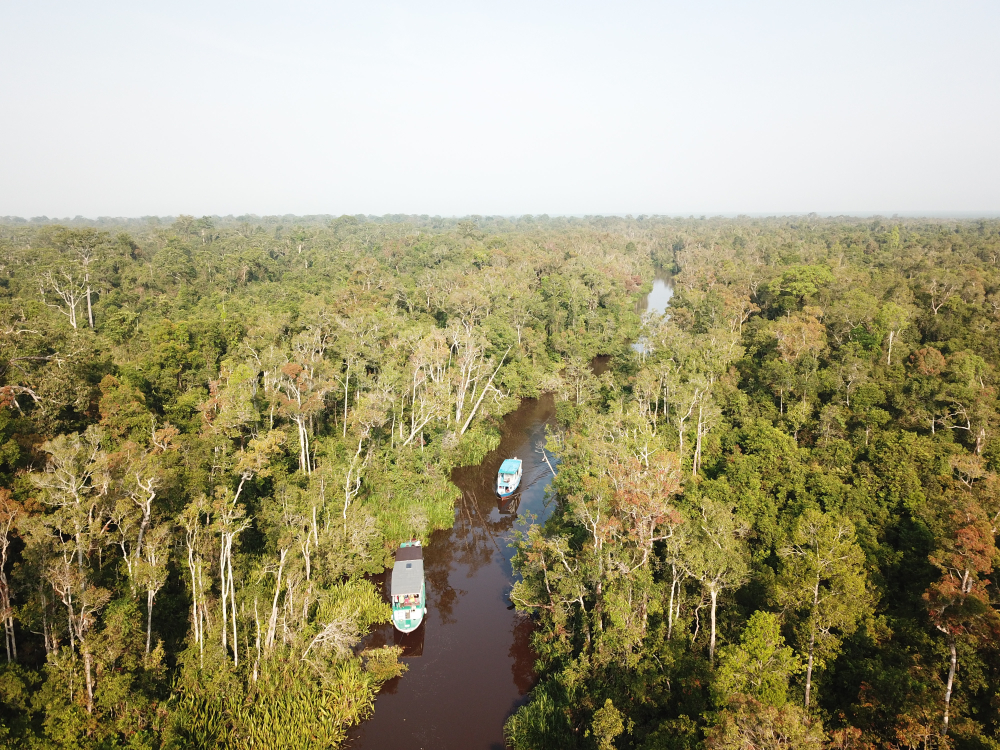 Kawasan konservasi orangutan TN Tanjung Puting | Shantie_syifa/Shutterstock