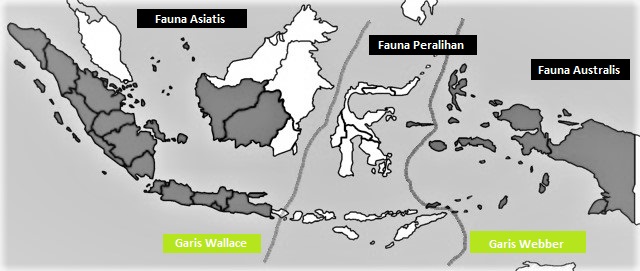peta persebaran fauna di indonesia,zona asiatis australis peralihan