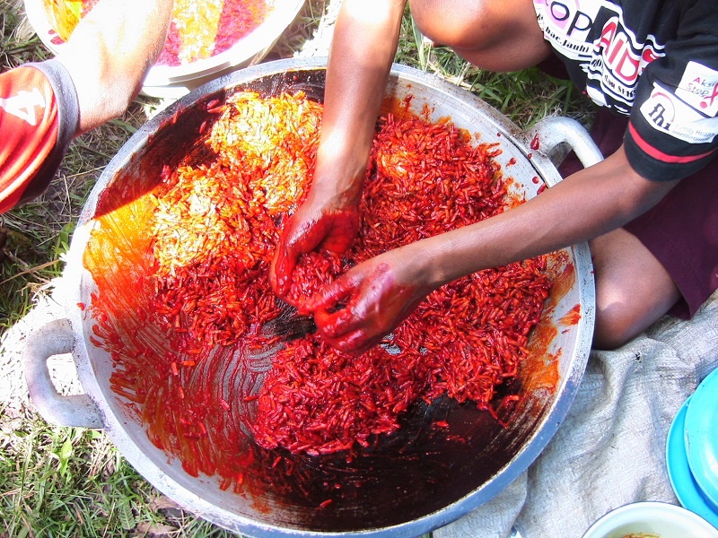 Pengolahan Buah Merah Papua yang diambil minyaknya atau dijadikan saus untuk sagu dan ubi