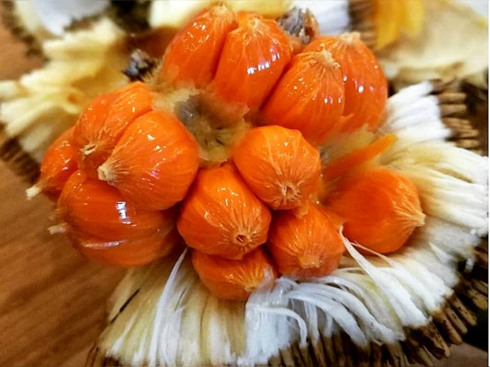 Buah Keledang Kalimantan memiliki daging buah berwarna oranye terang dengan rasa seperti manggis dan nangka