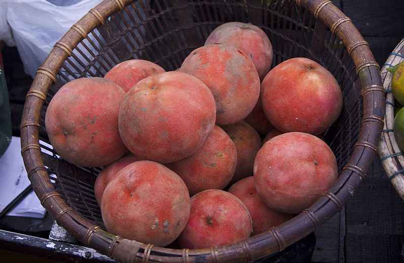 Buah Bisbul, buah unik berbulu yang kaya manfaat bagi kesehatan
