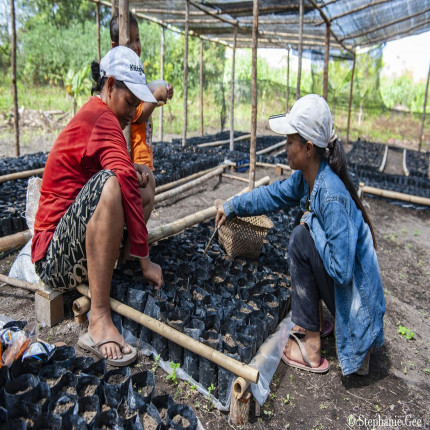 Tim Reboisasi sedang Menyemai Bibit Pohon Durian