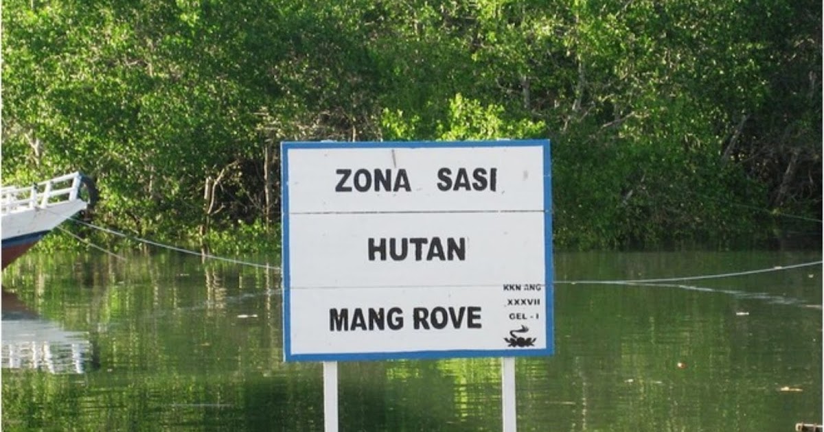 Zona Sasi Nggama, tradisi konservasi atau menjaga laut masyarakat Suku Koiwai, Perairan Kaimana, Papua Barat