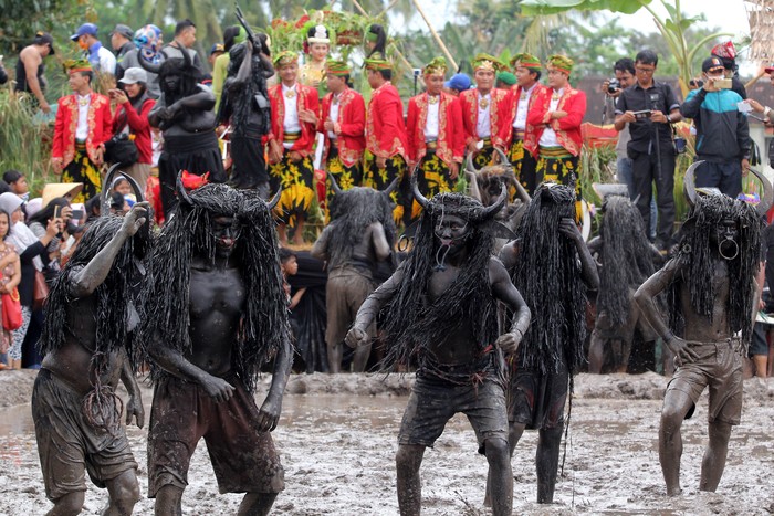Tradisi Kebo-keboan | Sumber foto: Detiknews