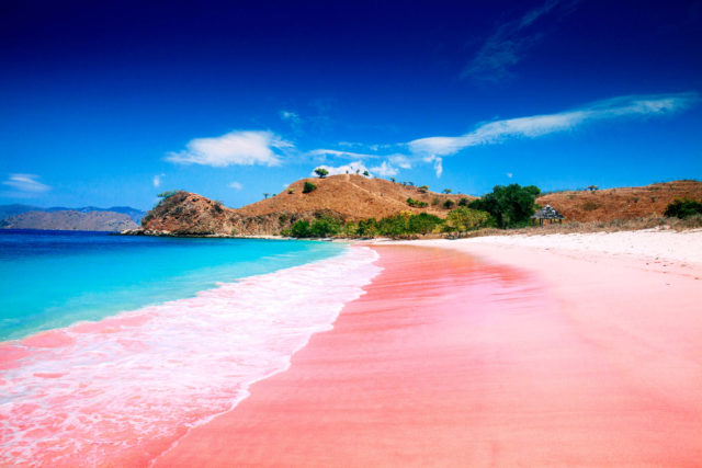 Pantai Pink Pulau Komodo | Foto: Phinemo.com