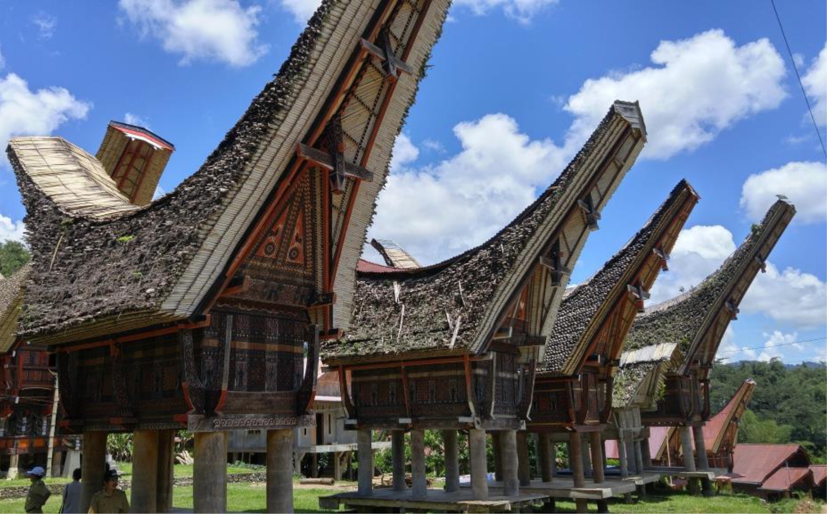 Rumah Adat Tongkonan, 10 Rumah Adat Tradisional Terunik Dan Terpopuler Di Indonesia