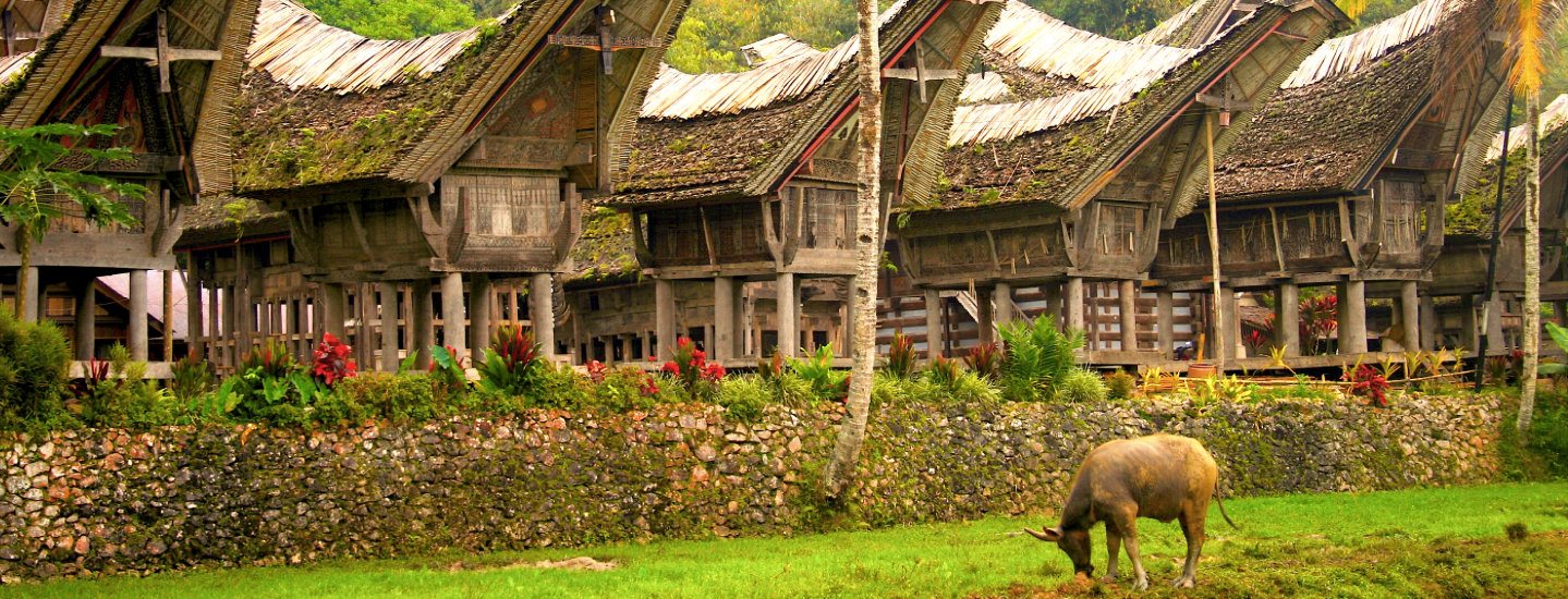 Tana Toraja | Foto: Discover your Indonesia 
