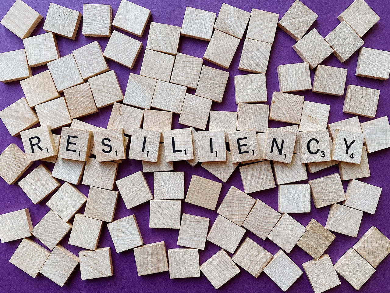 Faktor Pendukung Resiliensi Ekonomi Foto: Pixabay/WOKANDAPIX