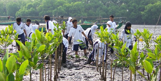 Konservasi | Foto: Dinas Lingkungan Hidup Semarang