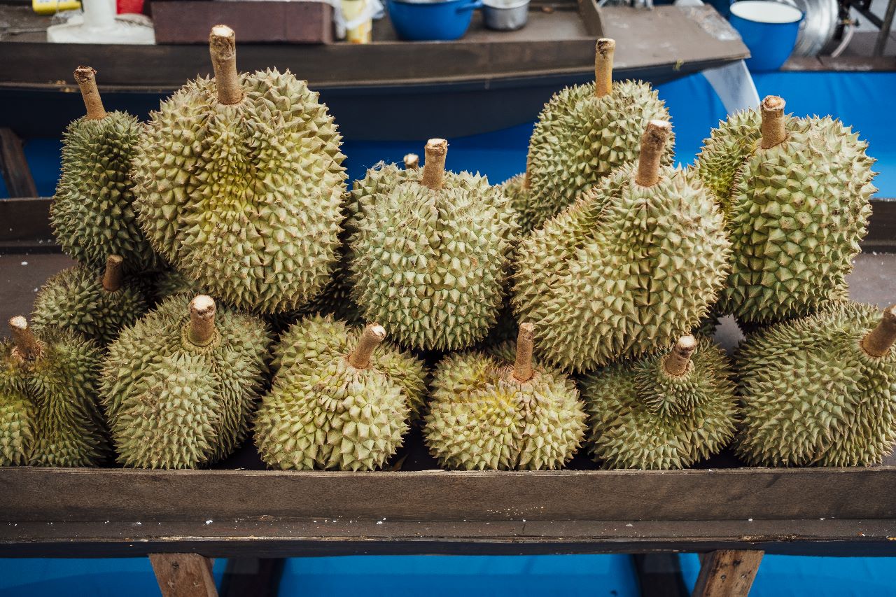 Ilustrasi buah durian. | Foto: Freepik/Jcomp
