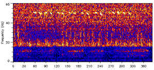 Spektogram sinyal 52 hertz | Wikimedia commons