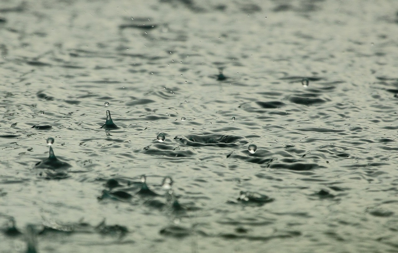  Genangan air hujan | Diego_torres/Pixabay 
