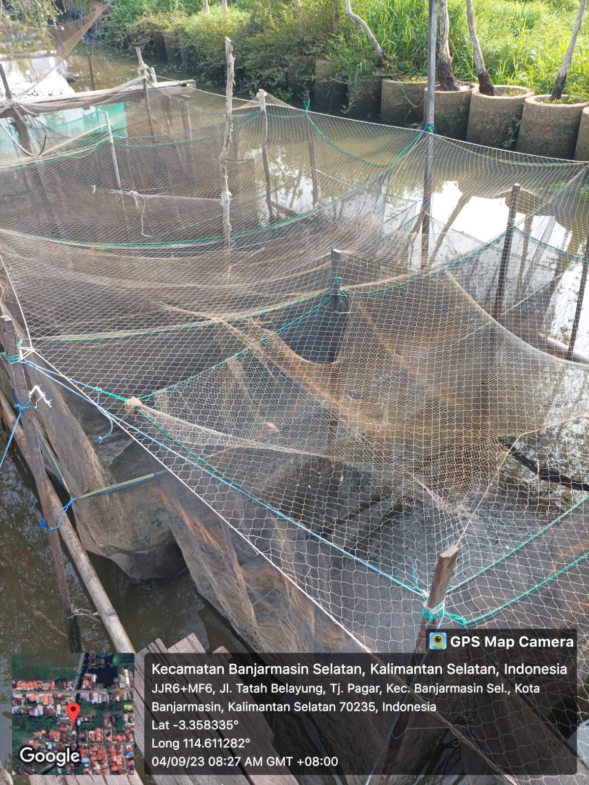 Warga masyarakat di Tatah Belayung memanfaatkan lahan basah menjadi tempat untuk usaha ikan lele | Dokumen pribadi