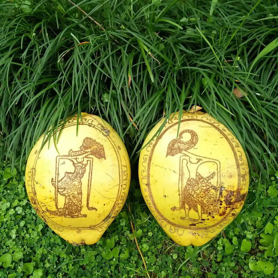 Sosok Arjuna-Sembadra digunakan dalam kelapa yang digunakan pada upacara tujuh bulanan Jawa. (Sumber: instagram @augustus_luxius)