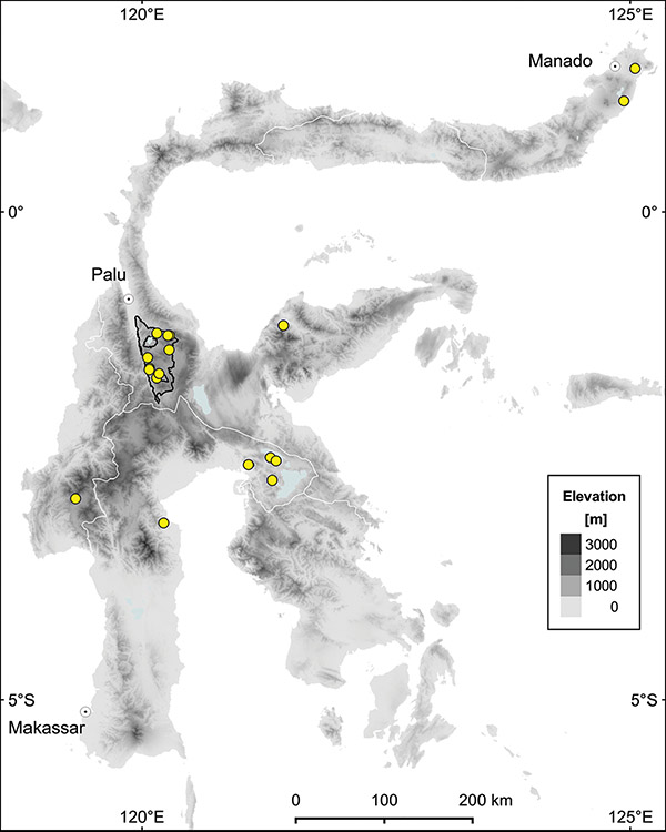 Peta persebaran Syzygium balgooyi di Sulawesi. Sumber: Jurnal PhytoKeys